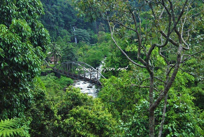 jembatan-anai-dari-taman-bung-hatta-west-sumatra